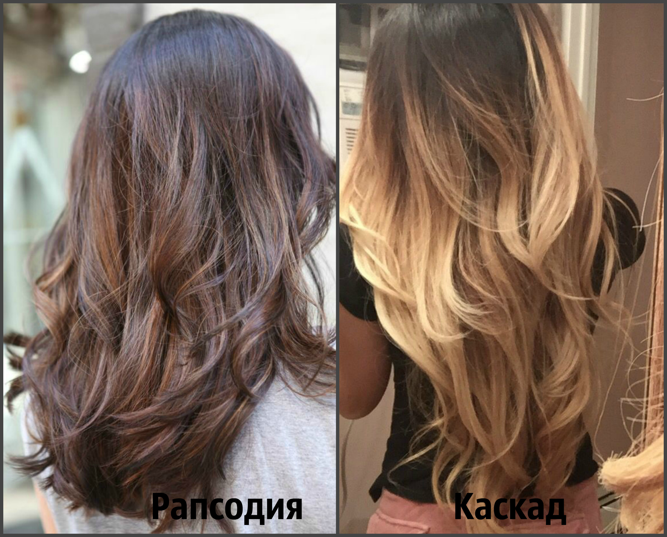  Comparison of haircuts rhapsody and cascade