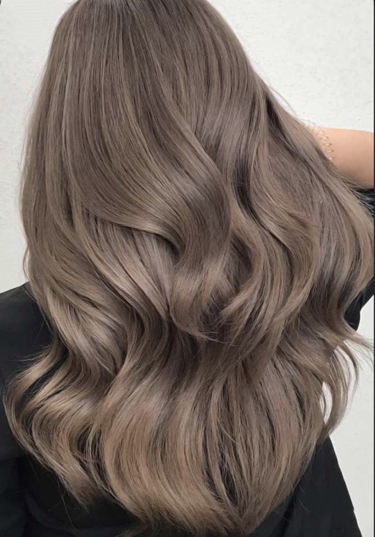 (+180 photos) Shades of ashy hair color