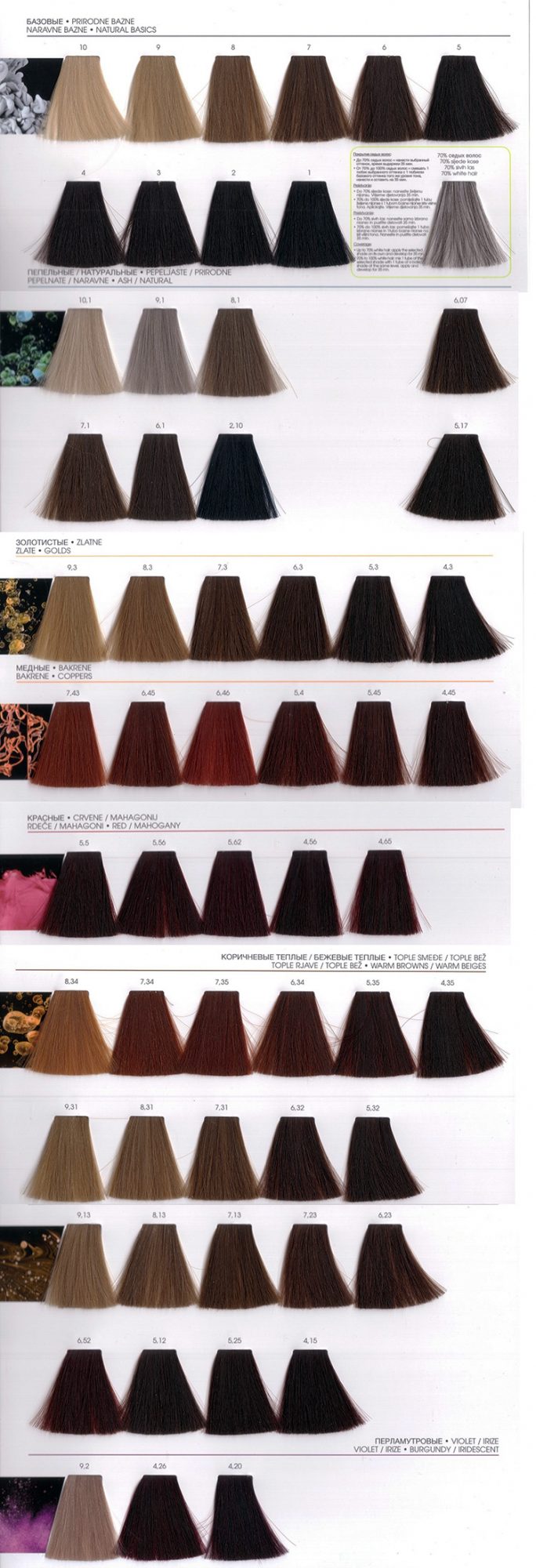 Loreal color palettes with staining results