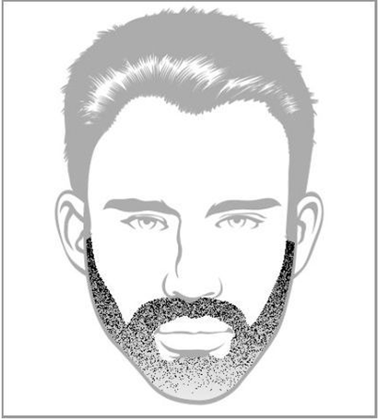 Types and forms of popular beards for men with examples and names