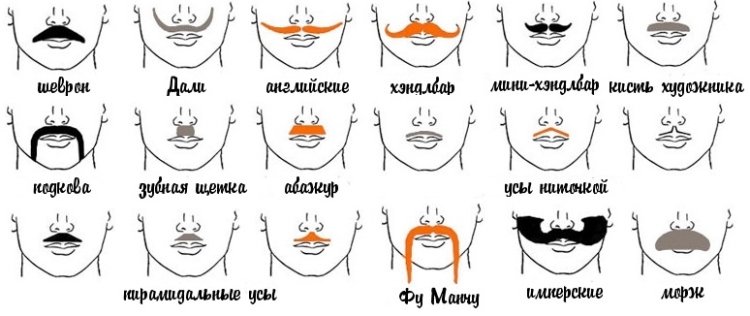 Types and forms of popular beards for men with examples and names