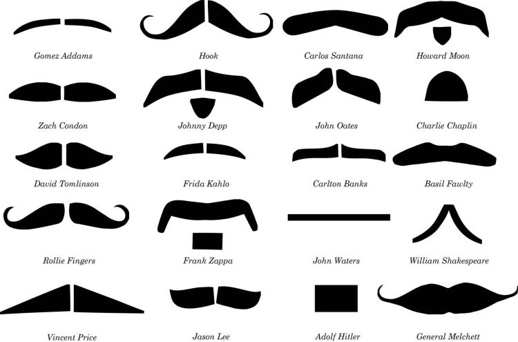 Types and forms of popular beards for men with examples and names