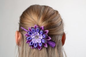 Hair clip hairstyle with barrettes