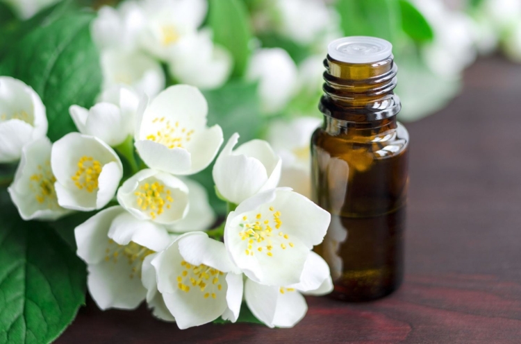 Jasmine oil for hair benefits and applications