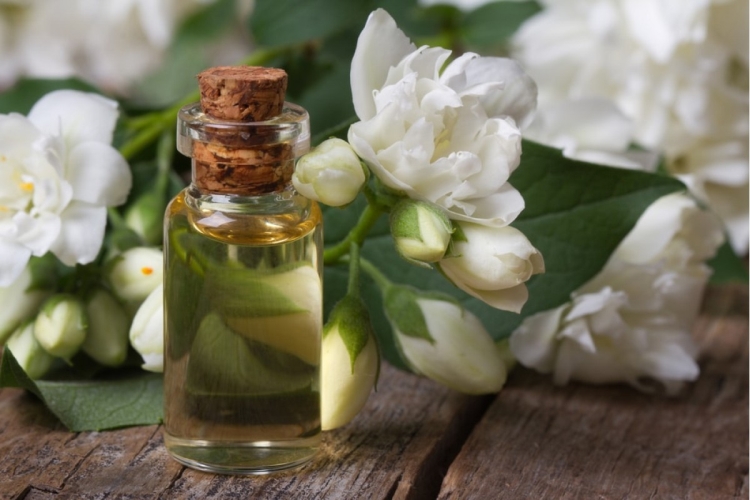 Jasmine oil for hair benefits and applications