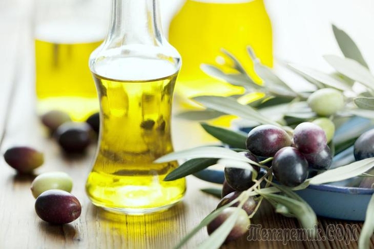 Application of olive oil for hair