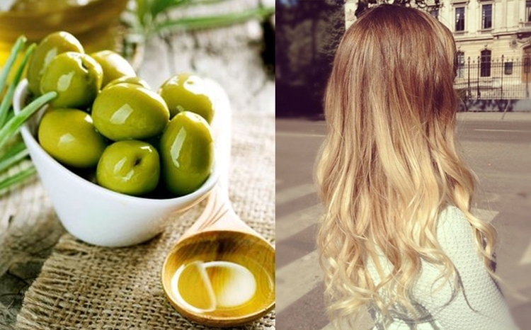 Application of olive oil for hair