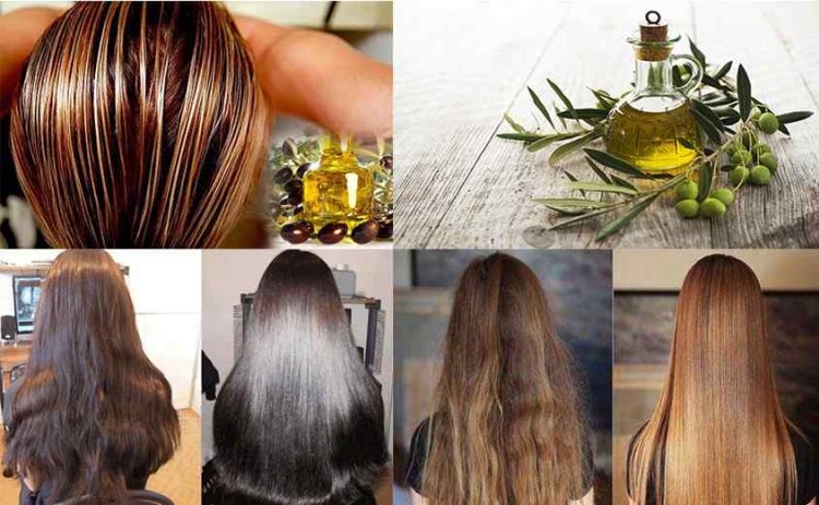 Application of olive oil for hair