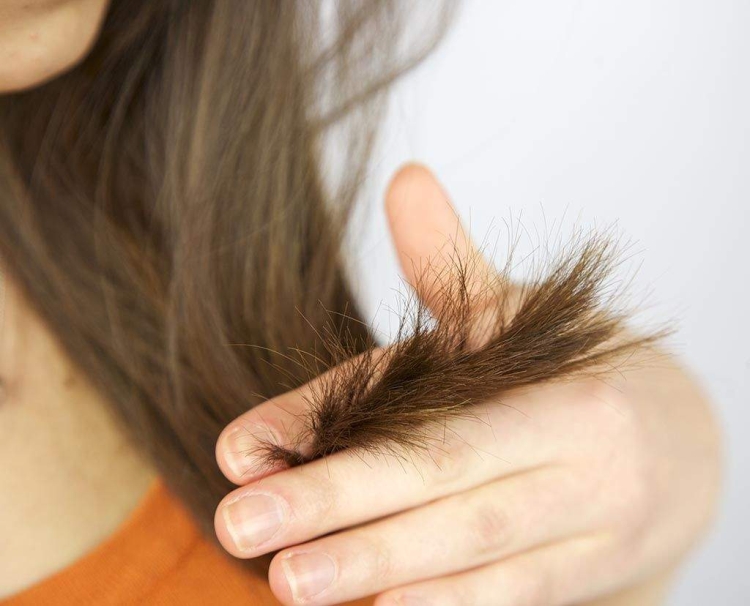 Hair mask for split ends at home