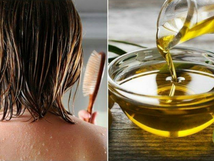 Application of olive oil for hair