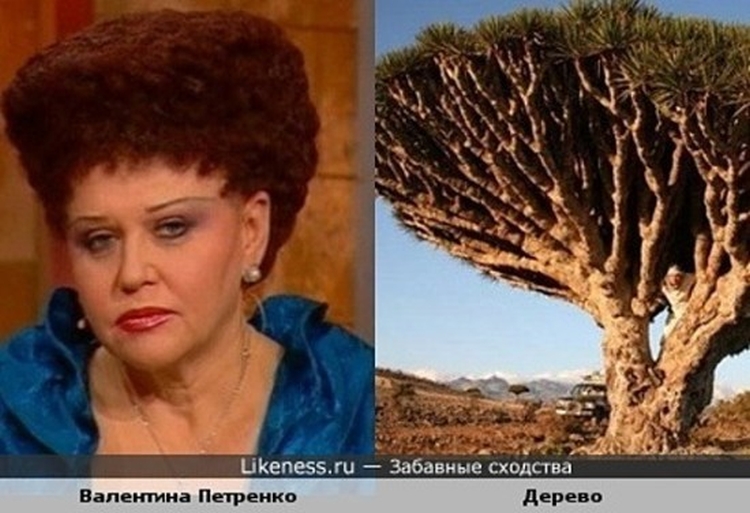 Valentina Petrenko's hairstyles