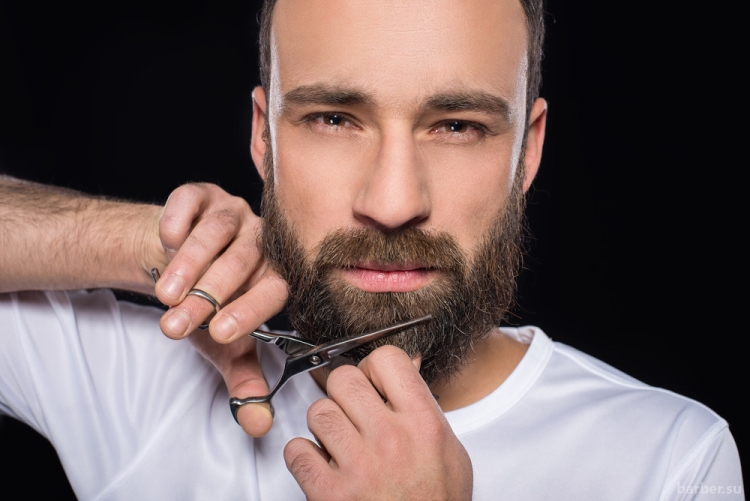 Haircut beard at home