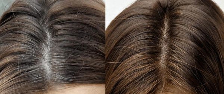 Brown hair with white ends