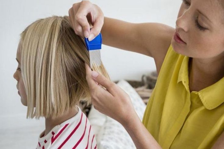 How to quickly get rid of nits and lice at home