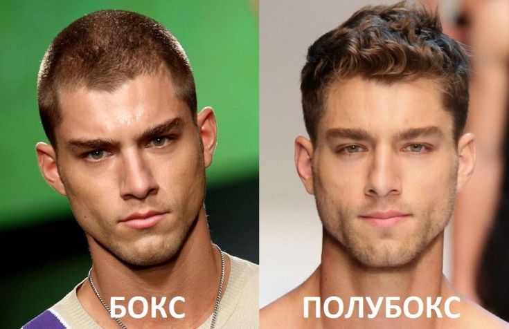 Men's hairstyle semi-box