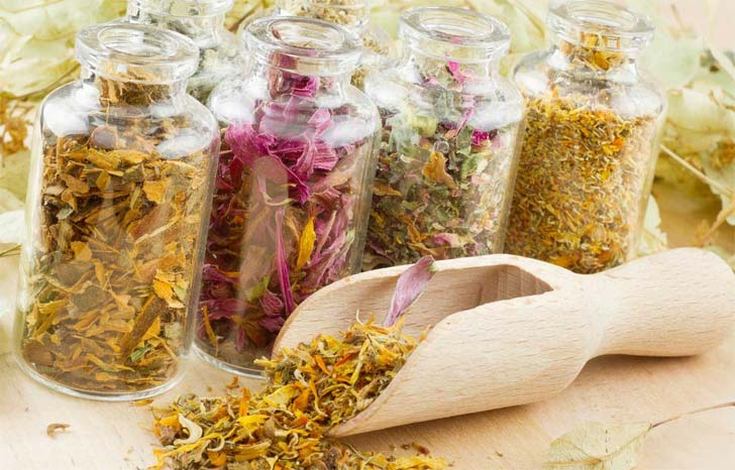 Herbal decoctions for hair loss