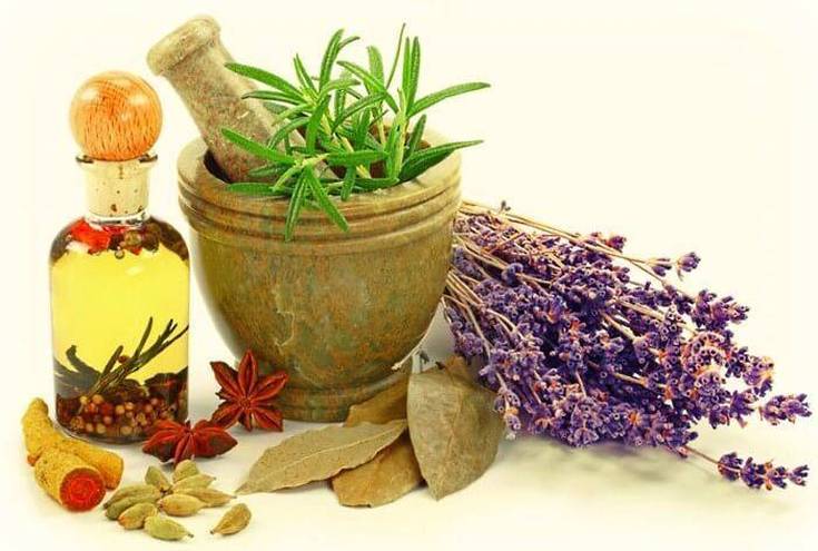 Herbal decoctions for hair loss