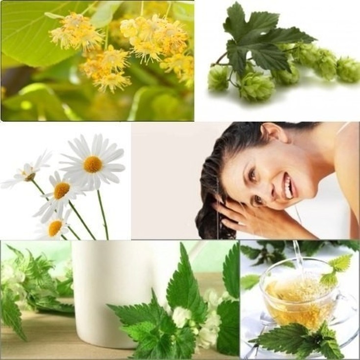 Herbal decoctions for hair loss