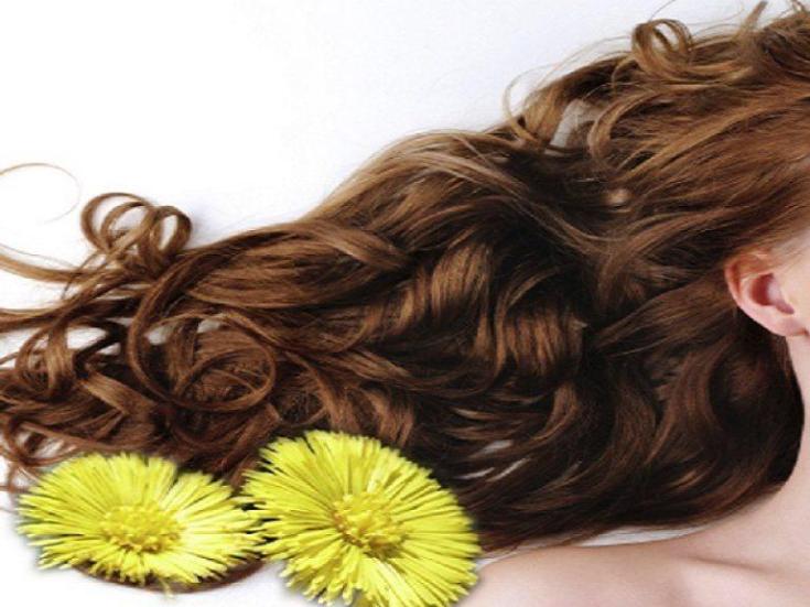 Herbal decoctions for hair loss