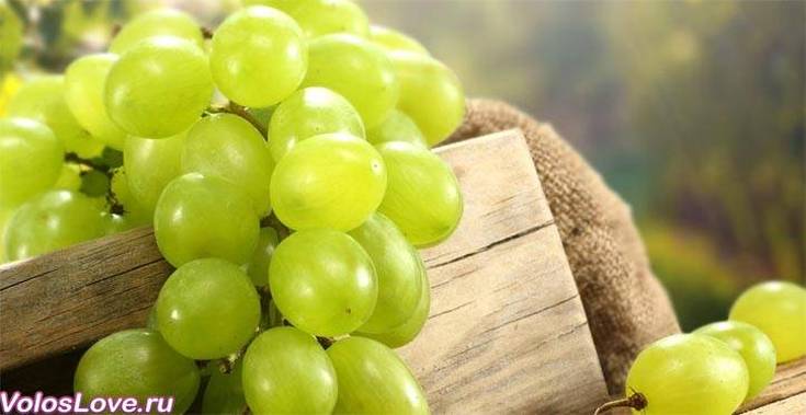 Grape seed oil for hair