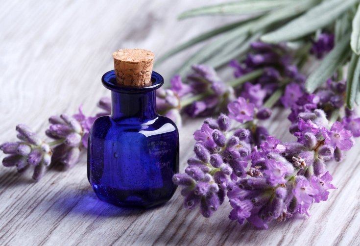 Lavender oil for hair