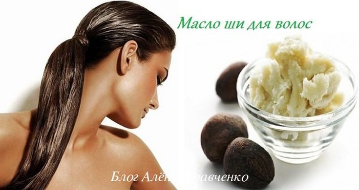 Shea butter for hair