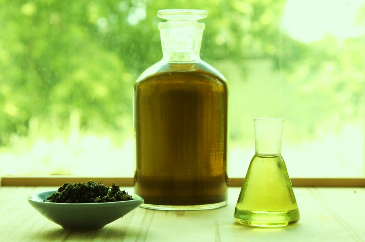 Nettle oil for hair