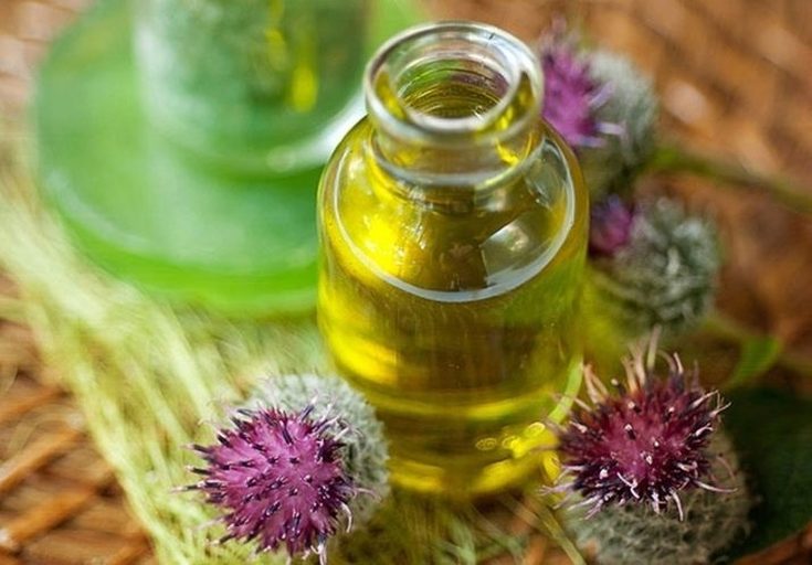 Burdock oil for hair