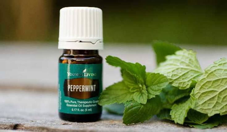 Peppermint oil for hair