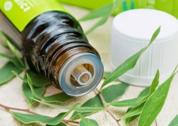 Tea tree oil for hair