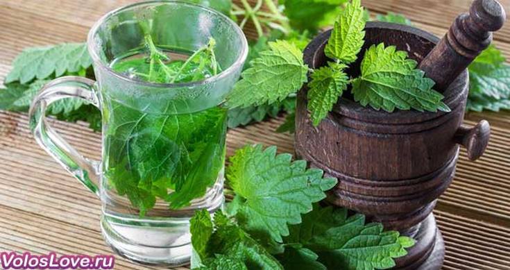 Nettle oil for hair