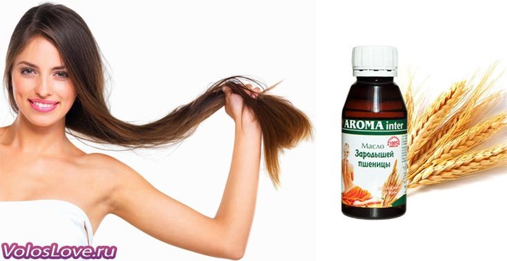 Wheat germ oil for hair