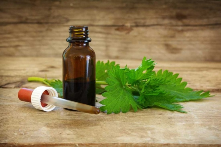 Nettle oil for hair