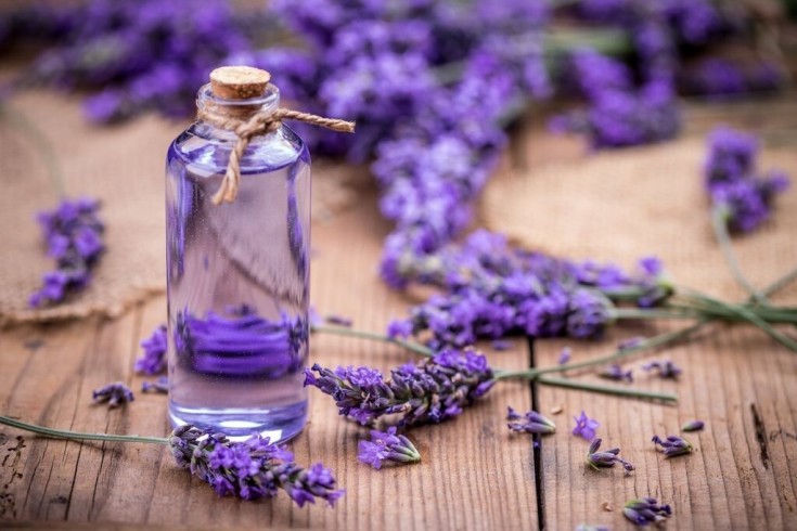 Lavender oil for hair