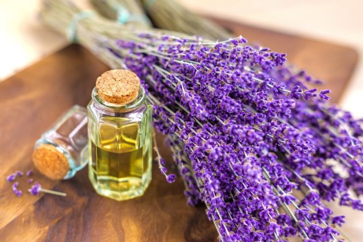 Lavender oil for hair