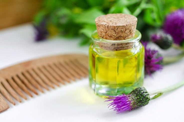 Burdock oil for hair