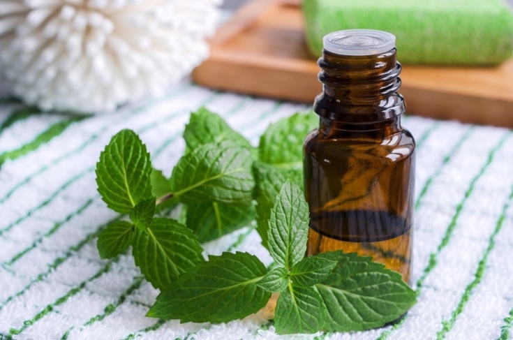 Peppermint oil for hair