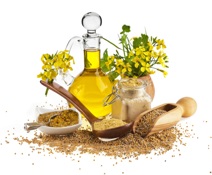 Mustard oil for hair