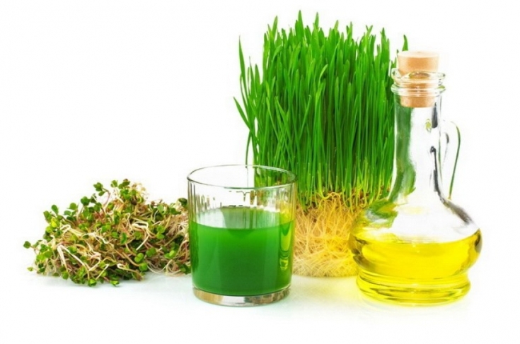 Wheat germ oil for hair