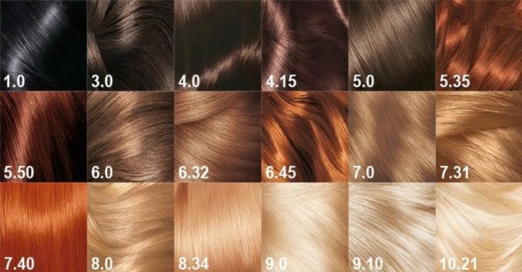 Hair lightening background (color chart)