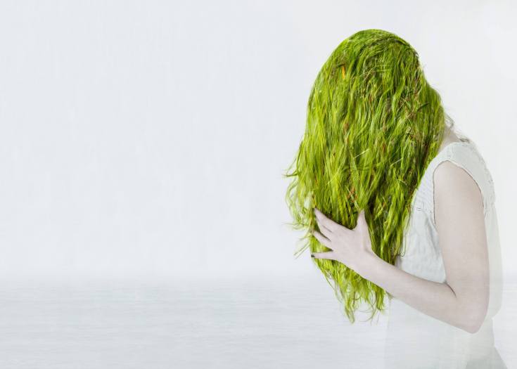 How to remove greens from hair after dyeing