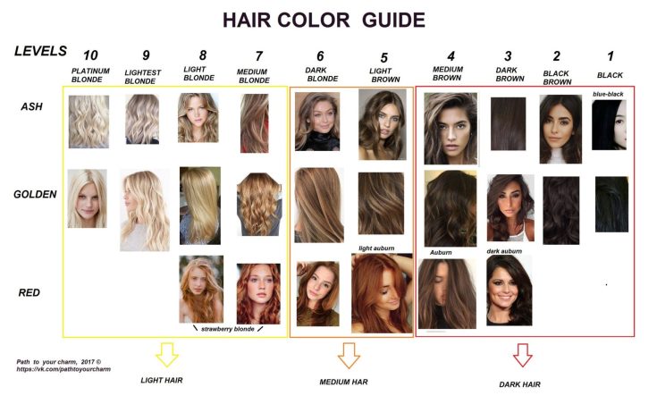 Hair lightening background (color chart)